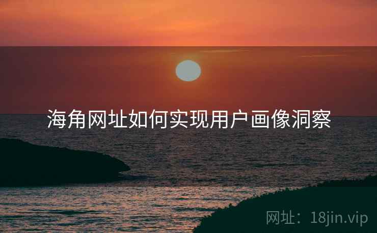 海角网址如何实现用户画像洞察