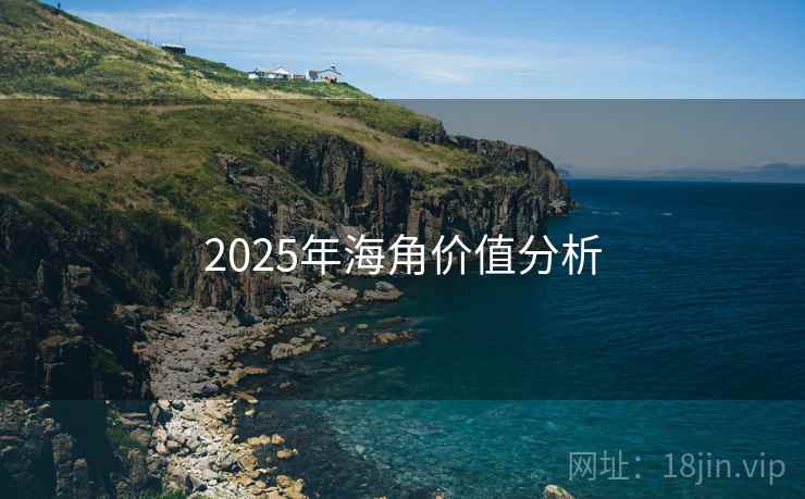 2025年海角价值分析