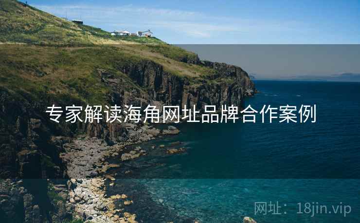 专家解读海角网址品牌合作案例