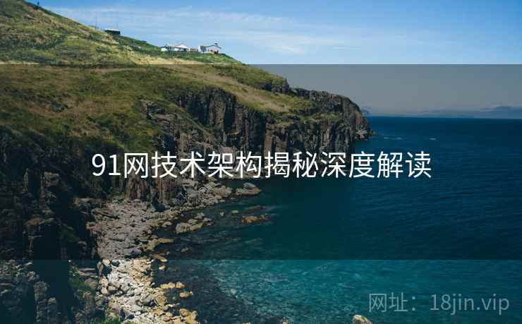 91网技术架构揭秘深度解读