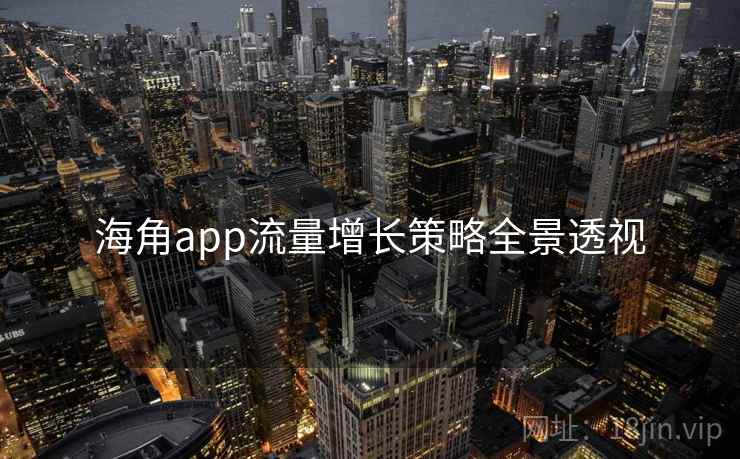 海角app流量增长策略全景透视